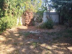 Pipera, Voluntari